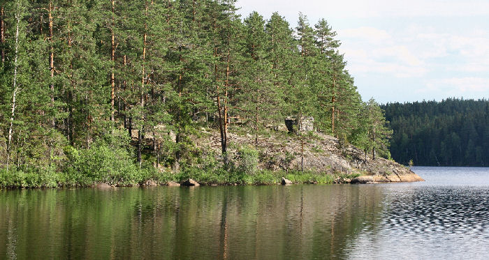 Lokalitet for maera, imellem Virserum - Tveta, Småland, Sverige. d. 4 juli 2006. Fotograf: Lars Andersen