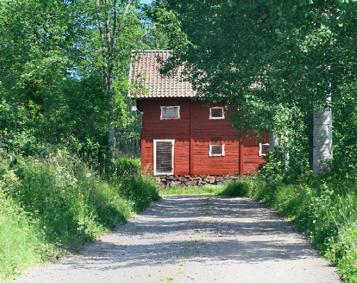 Lokalitet for Poppelsommerfugl, alle' med gamle Bveraspe, Sundby, Smland, Sverige. d. 4 juli 2006. Fotograf: Lars Andersen