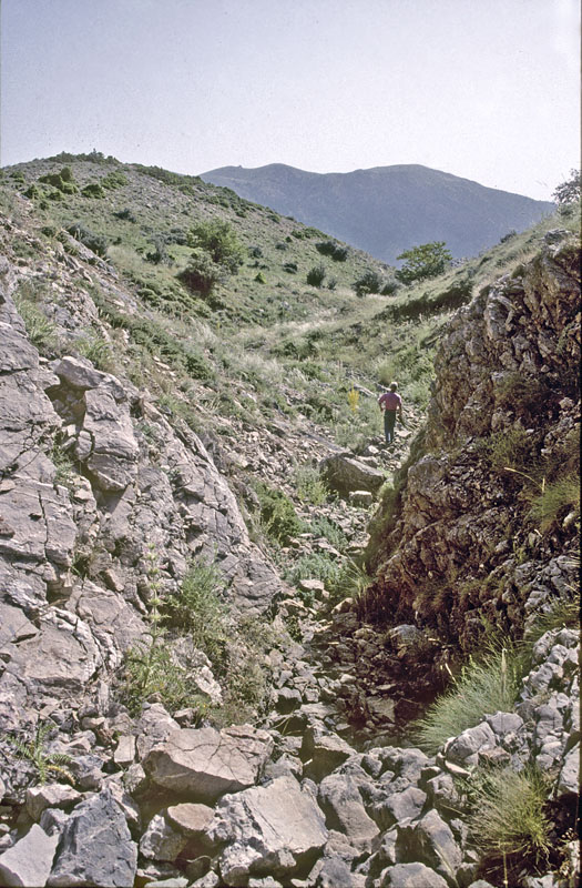 Lokalitet for Chelmos Stregblåfugl, Polyommatus (Agrodiaetus) iphigenia. Chelmos, Grækenland d. 3  juli 1998. Fotograf; Tom Nygaard Kristensen