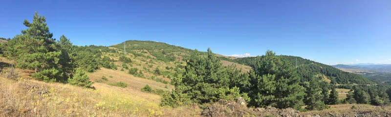 Lokalitet for Pseudochazara tisiphone ved Korçë, det sydøstlige Albanien d. 11 juli - 2019. Fotograf; Emil Bjerregård