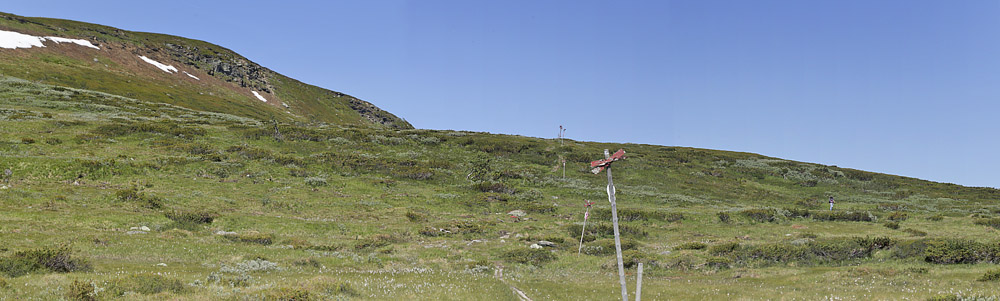 Lokalitet for Fjeldblfugl, Agriades orbitulus. Ramundberget 1030 - 1050 m.h., Sverige. d. 27 juni 2018. Fotograf; Lars Andersen