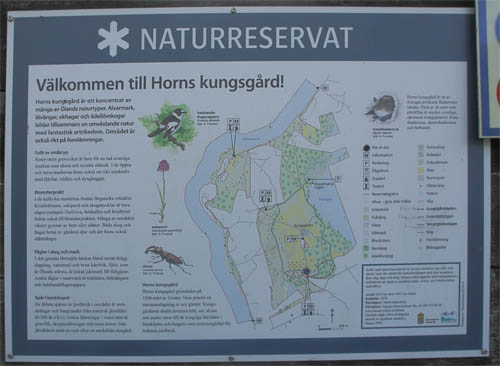 Naturreservat Horns kungsgård, Öland, Sverige d. 13 oktober 2018. Fotograf; Lars Andersen