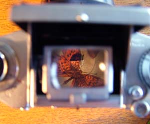 EXA. 1a med NOVOFLEX 1:3,5/35 mm vidvinkelmakro objektiv med 4 trins indbygget mellemringsystem! Verdens første brugbare kamera til makrofotografering i felten fra 1950érne. Her ses motivet igennem skaktsøgeren. Sundby d. 24 april 2007. Fotograf: Lars Andersen