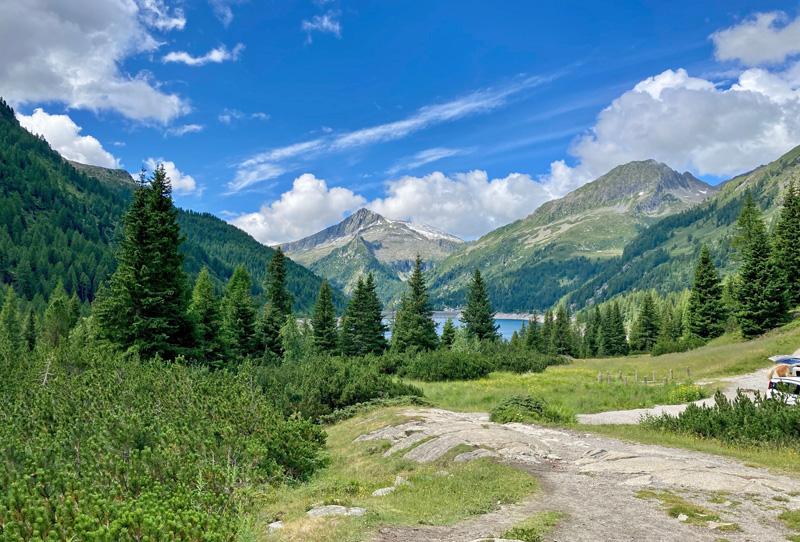 Val di Fumo 1800 m.h., Trentino Italien d. 16 juli 2021. Fotograf; John Vergo