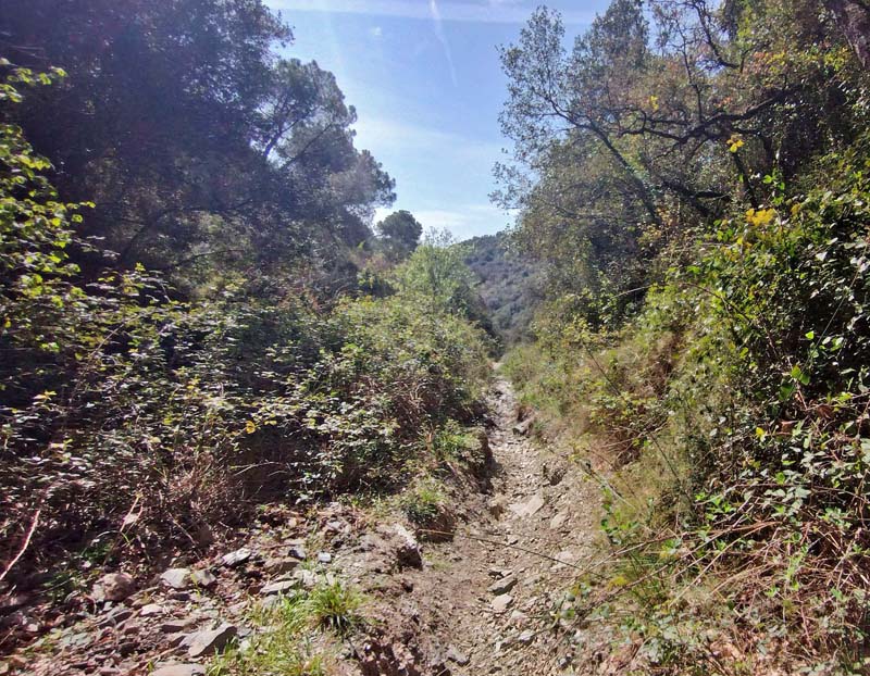 . Corral d'en Sabaté 300-500 m., Capellades, Catalunya, Spanien d. 11 april 2022. Fotograf; Emil Bjerregaard