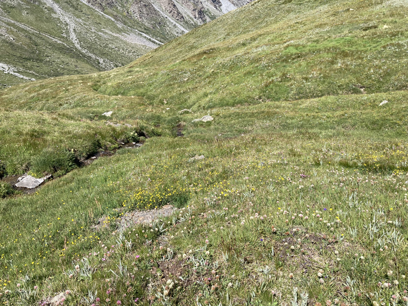 Col Agnel 2574m., Parc Queyras Hautes-Alpes, France d. 6 juli 2022. Fotograf; John Vergo