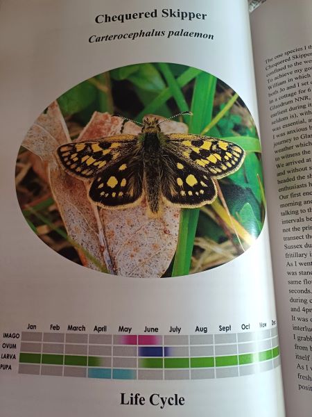 A Diary of British Butterflies update. UK Butterflies d. 15 november 2024. Photographer: Tim Bates