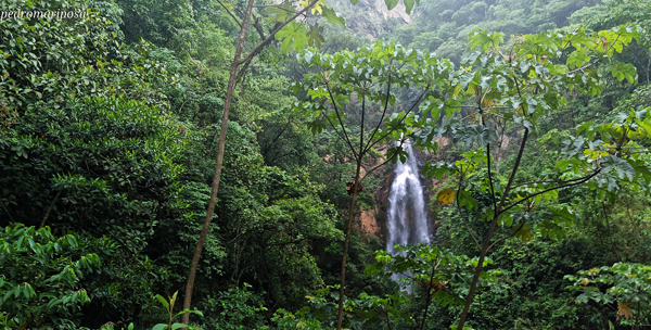 Rio Cahones waterfall this morning on November 29, 2024 06:52 on my way from El Alto La Paz airport to Caranavi Bolivia. Photographer: Peter Mllmann