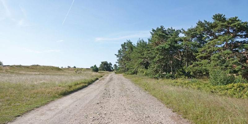 Nyehusen, stlig Skne. Sverige d. 13 august 2024. Fotograf: Lars Andersen