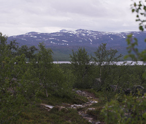 Nordkalotledden, Plnovik nord for Tornetrsk, Lappland, Sverige. 390 m. d. 28 juni 2007. Fotograf: Lars Andersen