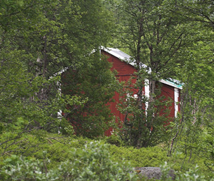 Plnovikhyttan, nord for Tornetrsk, Lappland, Sverige. 360 m. d. 28 juni 2007. Fotograf: Lars Andersen