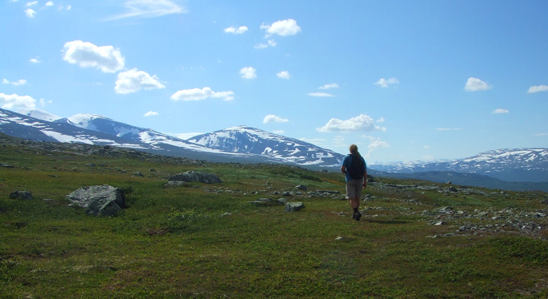 Lars Andersen ude og prve at finde Oeneis bore, dog uden held. Nissuntjrro 850 m.h. Tornetrask sydbred, Sverige 3 juli 2007. Fotograf: Sif Larsen