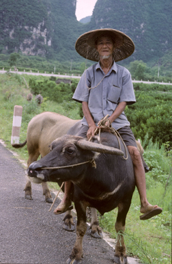 China. July 2006. Photographer: Tom Nygaard Kristensen 