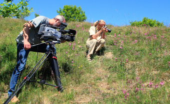 Sommerfuglefotografer; en filmmand fra TV2 stjylland og Tubas Lkkegaard ved at fotograferer Okkergul pletvinge. Mols bjerge. d. 1 Juni 2008. Fotograf: Lars Andersen