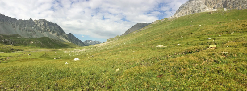 Albulapass 2400 m.h.,Graubünden, Schweiz d. 21 juli 2016. Fotograf; Emil Bjerregård