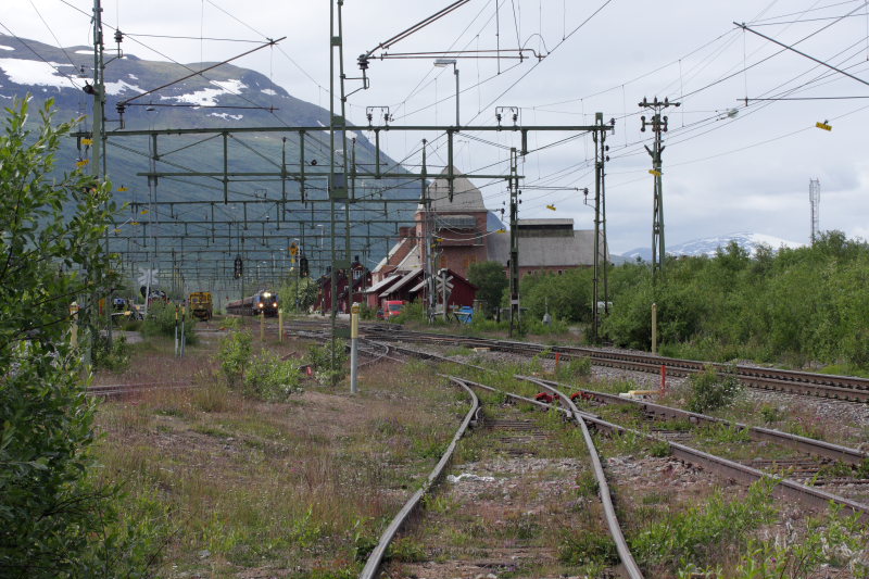 Lokaliteten for Foranderlig Blfugl er her p jernbaneterrnnet Abisko ststation, Torne Lappmark, Sverige. 11 juli 2008. Fotograf: Lars Andersen