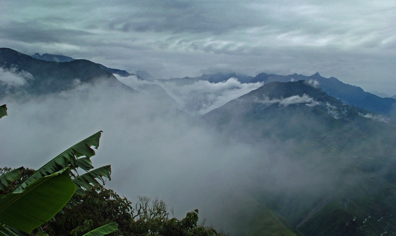 View from Esmeralda Hotel, Coroico 2000 m., Yungas, Bolivia d. 2 jauary 2005. Photographer: Lars Andersen