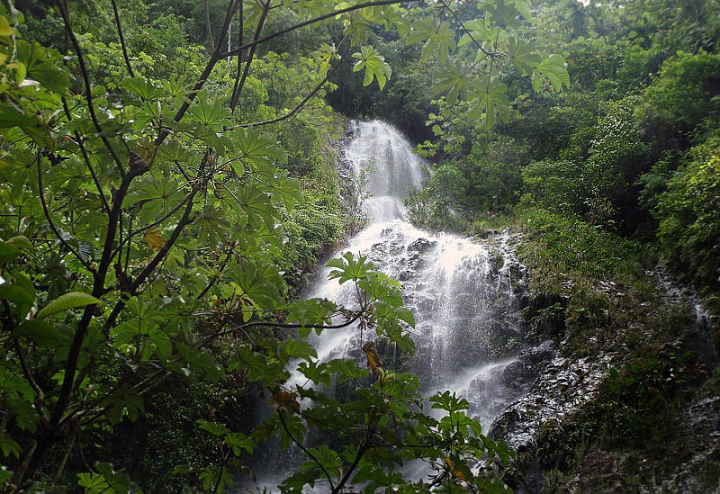 Road from Coroico to Caranavi, Yungas, Bolivia d. 11 january 2005. Photographer: Lars Andersen