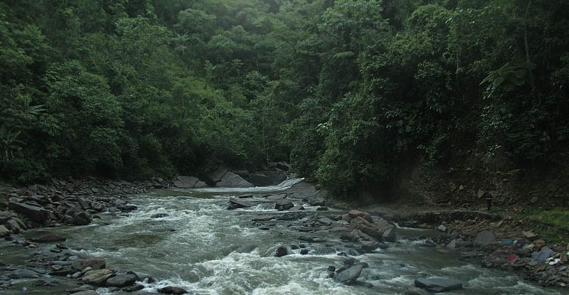 Road from Coroico to Caranavi, Yungas, Bolivia d. 8 january 2005. Photographer: Peter Mllmann