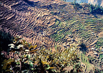 Dhunche, Langtang, Nepal i 2000 m. November 1995. Fotograf: Lars Andersen