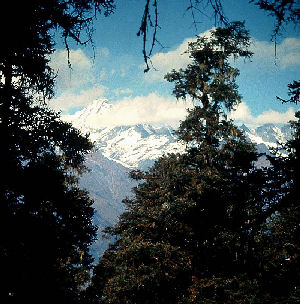 Syabru, Langtang, Nepal i 2600 m. februar 2000. Fotograf: Lars Andersen
