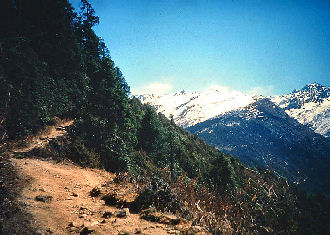Sing Compa. Langtang, Nepal i 3900 m. februar 2000. Fotograf: Lars Andersen