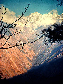 Langtangdalen, Nepal i 2200 m. februar 2000. Fotograf: Lars Andersen