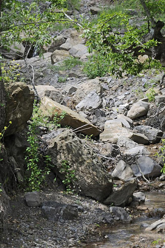 Lokalitet for Orientalsk Marmorbredpande, Carcharodus orientalis. Krim halven, Ukraine d. 25 maj 2008. Fotograf; Tom Nygaard Kristensen