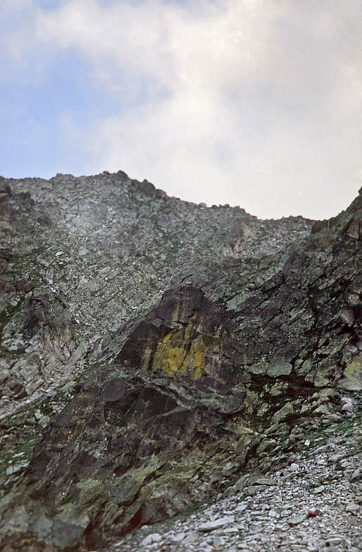 Gense. La Gordolasque-Vallon des Verrairiers, Alps Maritime, sydøstlige Frankrig Primo august 1988. Fotograf; Lars Andersen