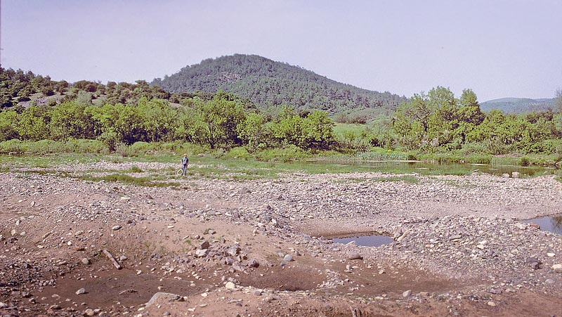 Lokalitet for Lille Grønbroget Hvidvinge, Pontia chloridice. Alexandroupolis, Grækenland d 3 maj 1998. Fotograf; Tom Nygaard Kristensen