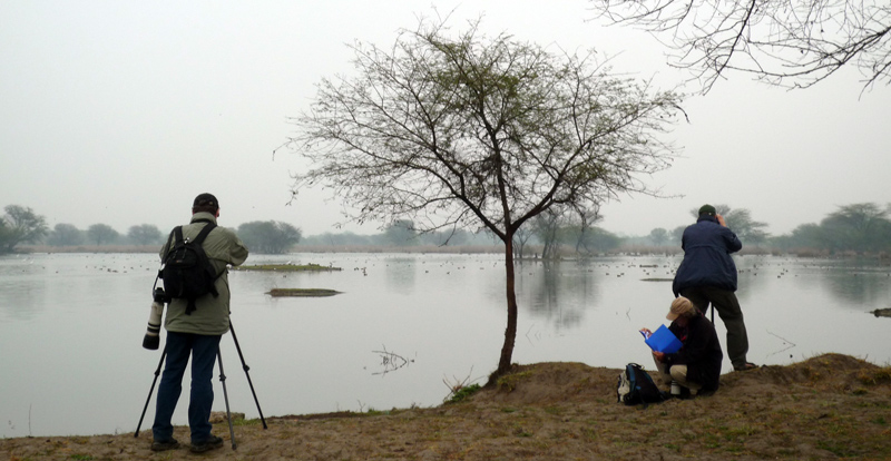 Sultanpur, Indien d. 15 februar 2011. Fotograf; Troells Melgaard