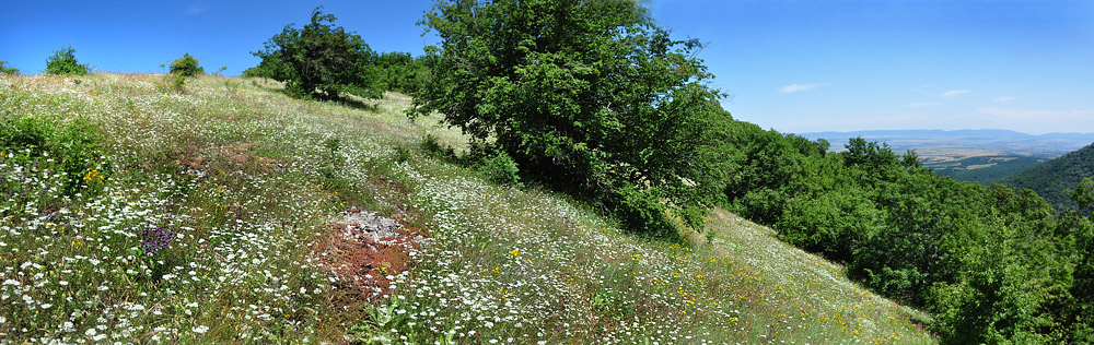 Kotel-Zlosten, Bulgarien d. 2 juli 2011. Fotograf; Martin Bjerg