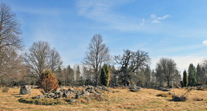 Kvilleken (ven Rumskullaeken),  Norra Kvill i Rumskulla socken i Vimmerby kommun. Smland d. 17 april 2011. Fotograf: Lars Andersen