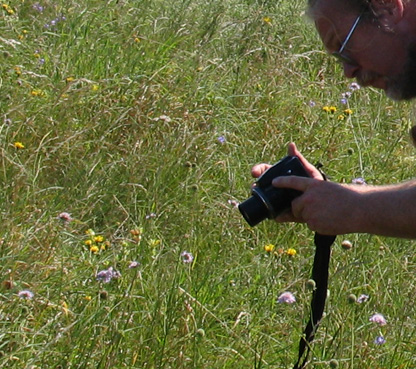 Lars Andersen er ved at fotografere Brunlig perlemorsommerfugl, Clossiana selene. Bøtø, Falster. 8 august - 2004 Fotograf: Henrik Mathiassen