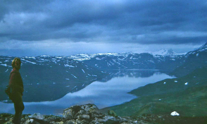 Lokalitet for Fjeldrandøje. Fagermø 1800 m.h. Bygdin med udsigt til Norges højeste bjerge, Glittertind og Galhøgpiggen. Jotunheimen. Norge. juli 1992. Fotograf: Lars Andersen