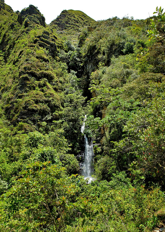 Cascades de San Juan, Coroico 1900 m.h. d. 6 Febrnuary 2012. Photographer Lars Andersen