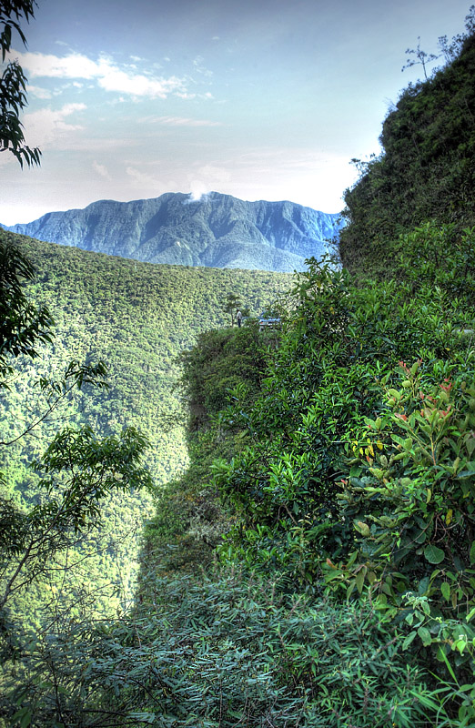 Camino de Muerte elev. 2600 m. Yungas, Bolivia d.  9 February 2012. Photographer: Lars Andersen