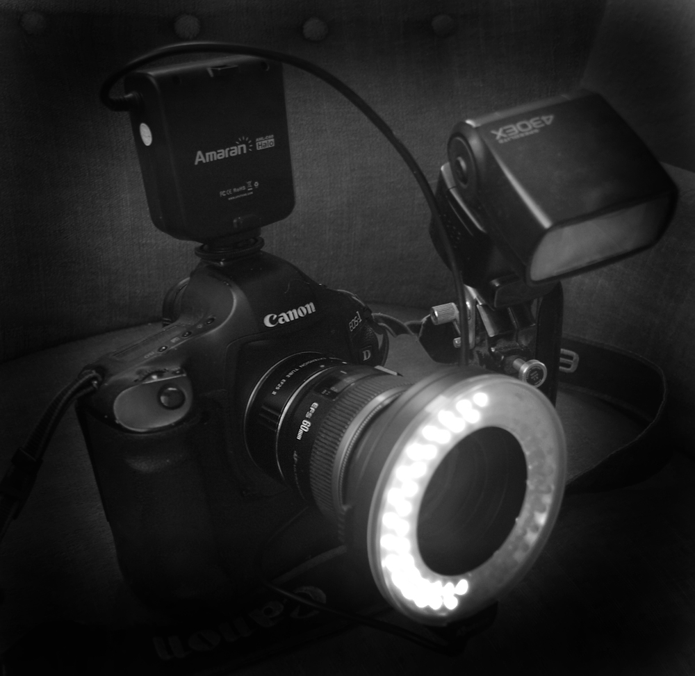 Canon 1D mark III med makroobjektiv med mellemring, samt flash og flashledlys monteret november 2012. Fotograf; Lars Andersen