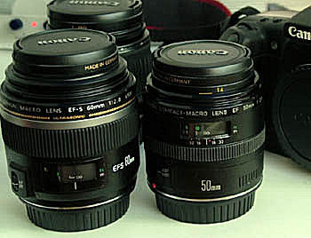 Canon 60mm USM makro optik og Canon 50mm makro optik, d. 4 april 2005. Fotograf: Lars Andersen