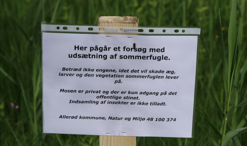 Lokalitet for Mørk Pletvinge & Engperlemorsommerfugl. Børstingerød Mose,Nordsjælland. d. 25 Juni 2013. Fotograf: Lars Andersen