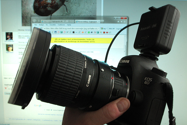Canon 6D med Canon MP-E 65 mm med Canon 25 mm mellemring og Aperture Amaran Ledringflash.