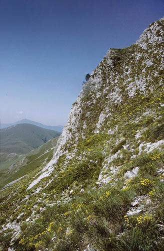 Lokalitet for Østlig Skiferblåfugl, Agriades dardanus. Óros Órvilos, 2000 m, Dráma, Grækenland d. 30 juni 1998. Fotograf; Tom N. Kristensen