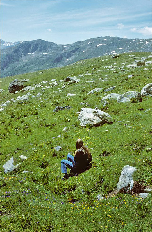Lokalitet for Plettet Bjerghvidvinge, Euchloe simplonia. Sct. Bernhard Passet , Italien d. 27 juni 1996. Fotograf; Tom Nygard Kristensen