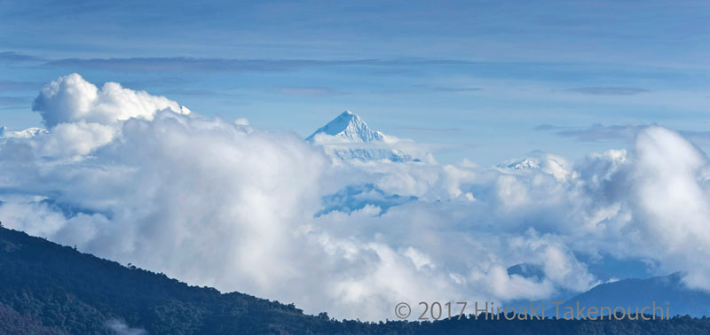 Bhutan's Glorie, Bhutanitis lidderdalii. Arunachal Pradesh, India august 2017. Photographer: Hiroaki Takenouchi