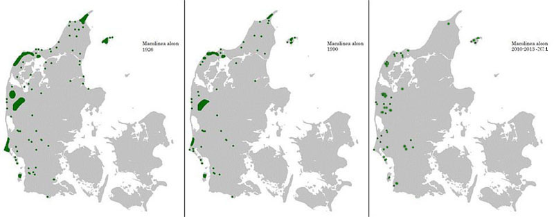 Ensianblfugl udbredelse i Nordeuropa 2010-21. Kort lavet i juli 2021 af Lars Andersen