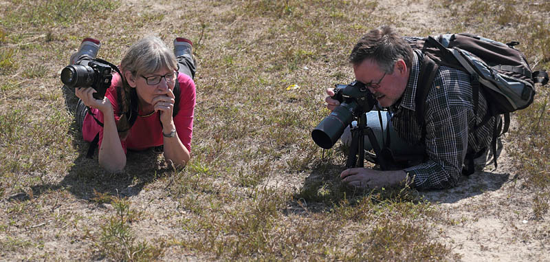 2 naturfotografer ved at fotograferer Spttet Bredpande, Pyrgus malvae parring. Melby Overdrev, Nordsjlland. d. 16 Maj 2014. Fotograf: Lars Andersen