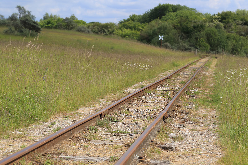 Smalsporet jernbane hvor der vokser Blød Storkenæb, Geranium molle. Hedeland, Nordsjælland. d. 7 juni 2014. Fotograf: Lars Andersen