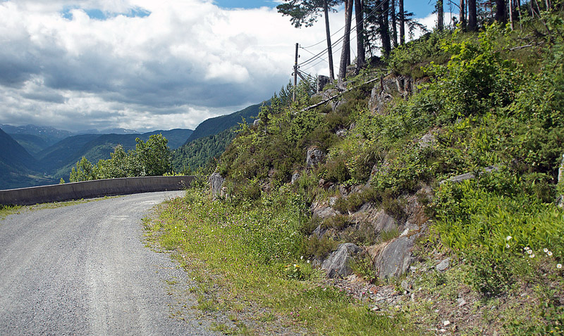 Lokalitet for Apollo, Parnassius apollo ssp. norvegica. Dalen elevation: 440 m.  Aust-Auger, Norge. 9  juli 2013. Fotograf: Lars Andersen