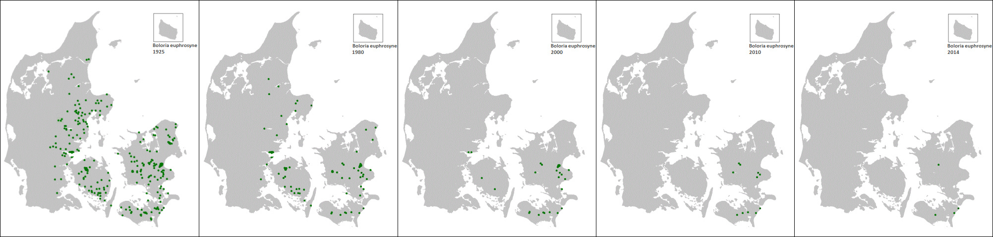 Boloria euphrosyne. Kort lavet af; Magnus Vest Hebsgaard d. 21 February 2015