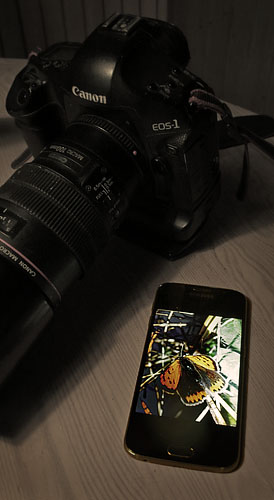 2 kameraer der kan bruges til makrofotografering: Canon 1D mark IV & Samsung Galaxy S6 . Asserbo d. 17 december  2015. Fotograf; Lars Andersen